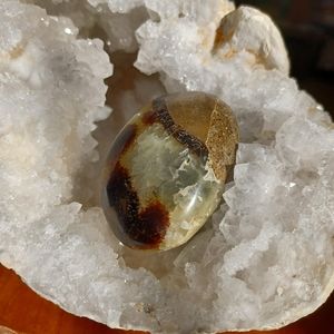 Septarian Palm Crystal Gemstone